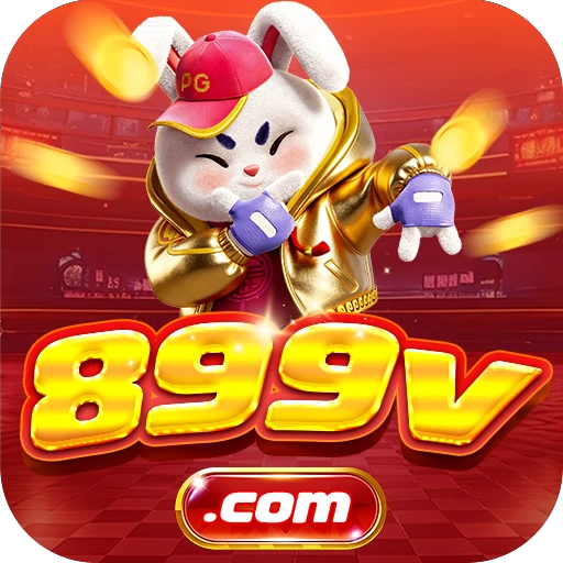 889V.COM